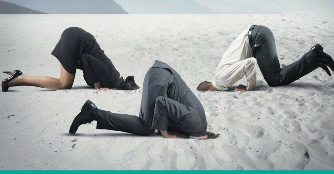 New Data Security regulation is on the way – Don’t bury your head in the sand! By Green Giant Consulting